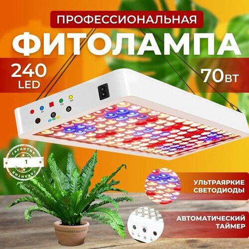      ,   quantum board,   ,     240 LED 70    -     , -, 