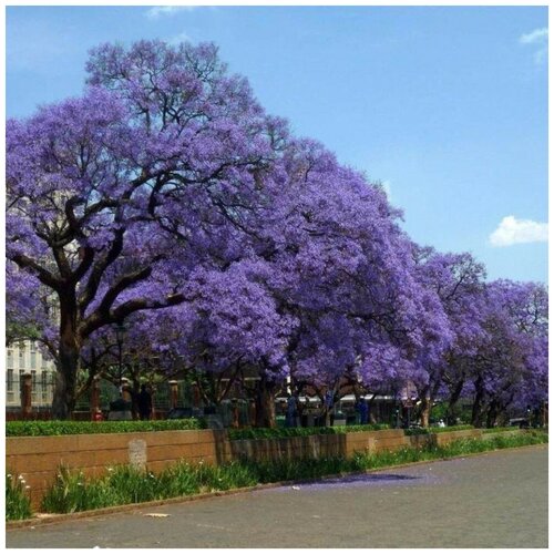 ���� ������ ������ ��������� ��������� 200 ��., ������ �� 320 ���