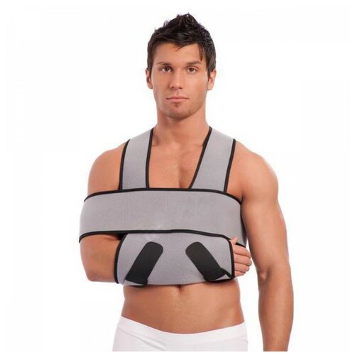    ,  .33.01,  XL, 15611,   2782 