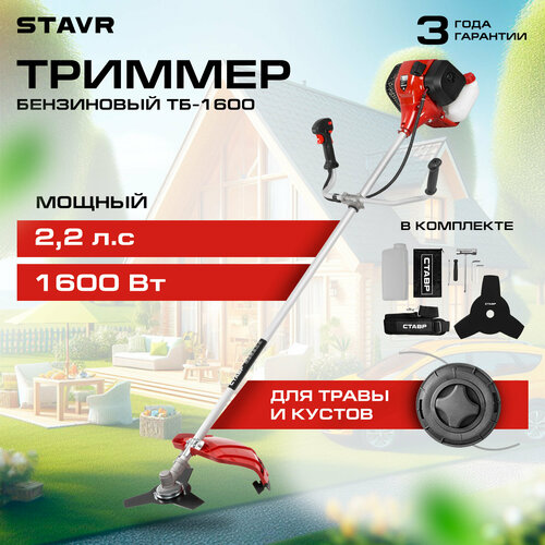 ���� ���������� ������� 