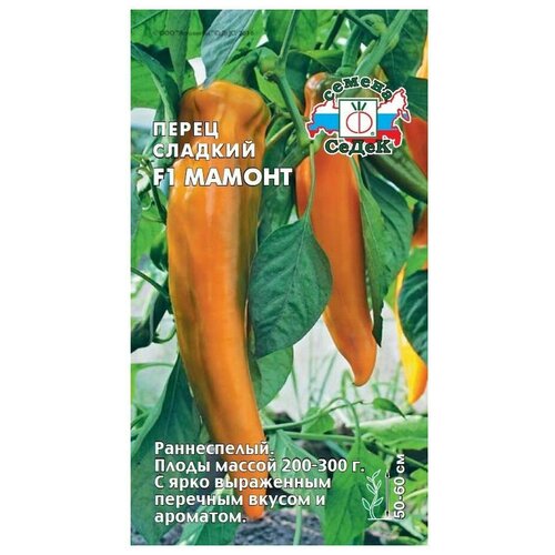 ���� ������ ����� �������� 