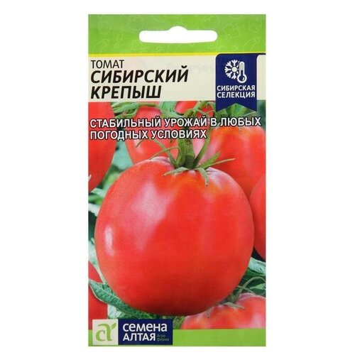 ���� ������ ����� 