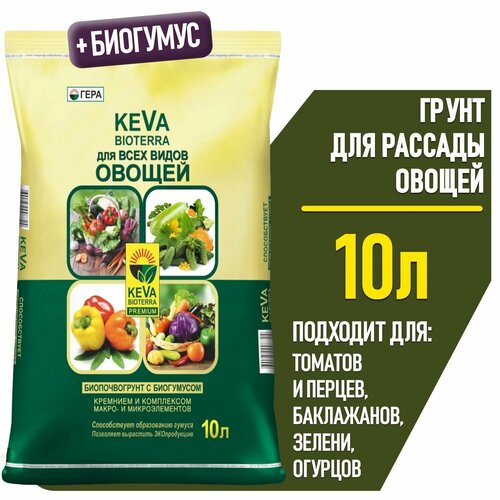  10 .       KEVA (     , , ),   299 
