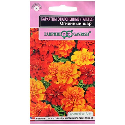 ���� ������ ������ �������� ����������� (�������) 