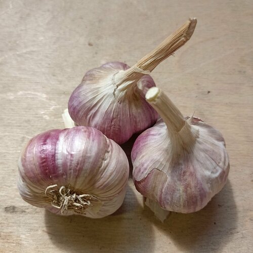 ���� ������ ������ �����, ��������� ���������������� ������ ��������, 3 �� �������, ������ �� 382 ���