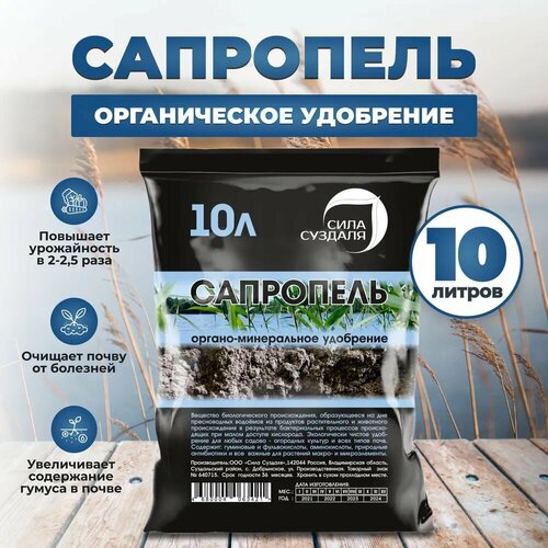 ���� ��������� / ��������� ���� ������� / ��������� ����������, 10�, ������ �� 800 ���