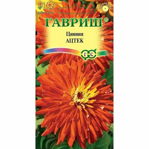 ���� ������ ������ �����, ����������, (������) 0,2�, ������ �� 41 ���