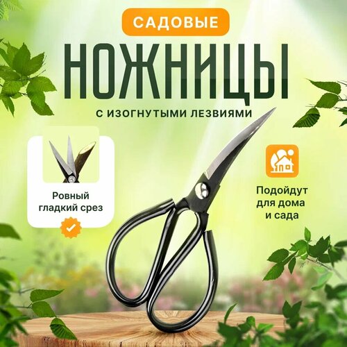 ���� ������� ������� ��������� ������, ������, ������� ������������� ��� ���� � �����, ��������������, ������ �� 348 ���