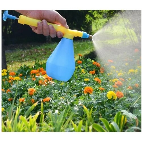 ���� ����������� (�������������) �������� �� �������, ������ �� 170 ���