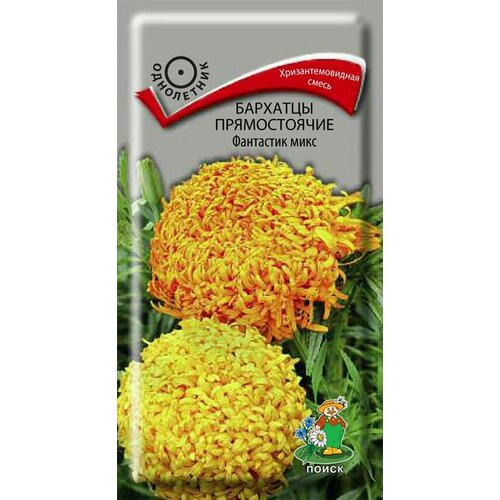 ���� ������ ��������� ������������ ����� ��������� ���� 0,2 �, ������ �� 41 ���