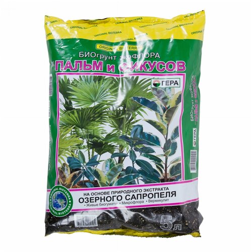 ���� ����� 