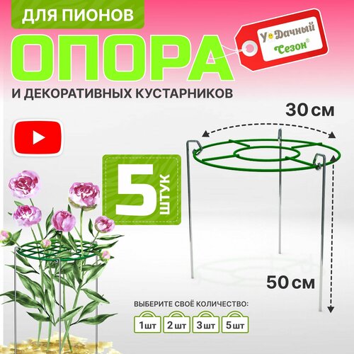 ���� ����� ��� ������ � ������������ ����������� ������� ����� ������ 50��, ������� 30 ��, 5��, ������ �� 3842 ���