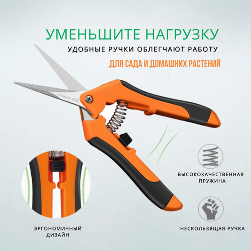 ���� ������� ������� ��� ������ ������������� / ������� �������/ ������� ��� ����. ����������� �����, ������ �� 349 ���