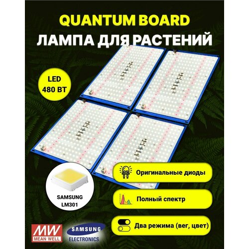    / quantum board c  Samsung LM-301,  480 , Mean Well, 5000,     -     , -, 