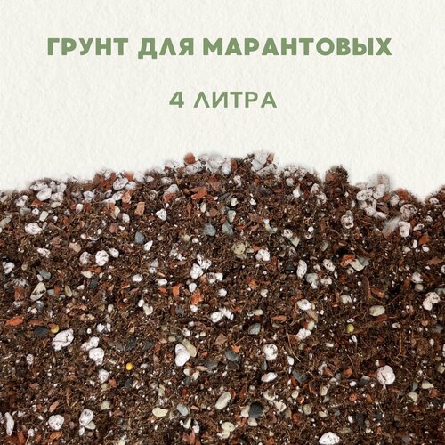 ���� ����� ��� ������� , ��� ��������. ������������� ����� ��� ����������. ����� ��� ������ ���������. 4 �����., ������ �� 1340 ���