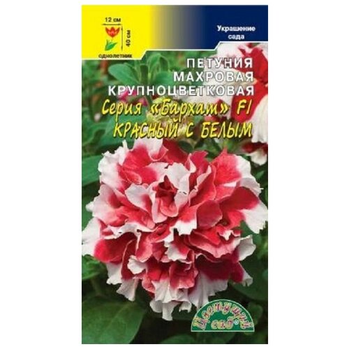 ���� ������ �������� ��� 