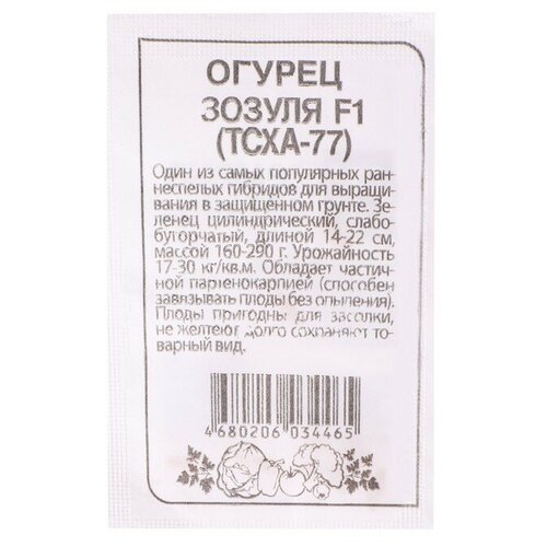 ���� ������ ������ 