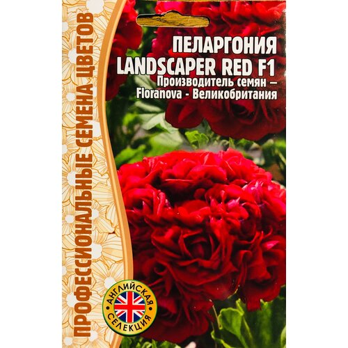 ���� ������ ���������� 