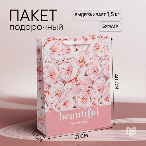 ���� ����� ���������� ����������, 31 ? 40 ? 11,5 ��, ������ �� 245 ���