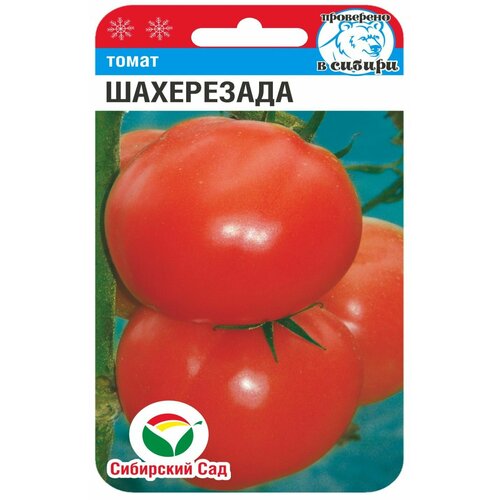 ���� ������ ������� ����������(1 ��������-20 �� �����), ������ �� 182 ���