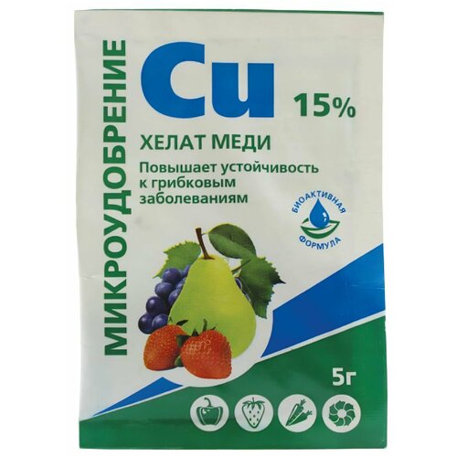 ���� �������������� 