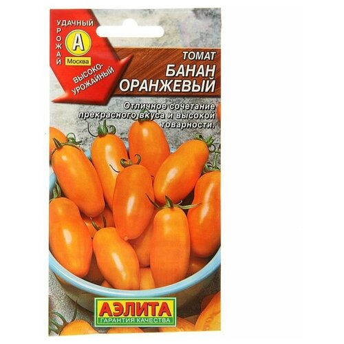 ���� ������ ����� 