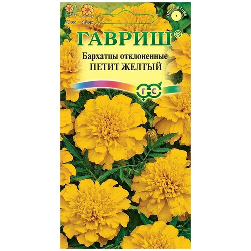 ���� ������. �������� ����������� 