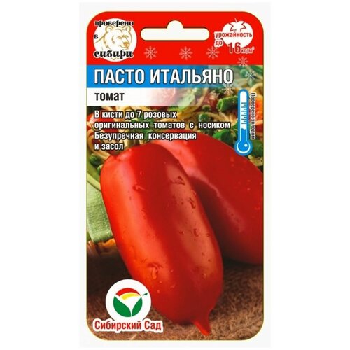 ���� ������ ����� 