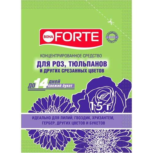  Bona Forte 15  5 /         -     , -, 