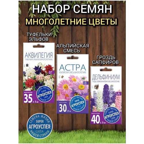 ���� ������ ����������� ������ ���������: ����� ���������� �����, ��������� �������� ������, ���������� ������ ��������, ������ �� 348 ���