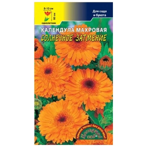 ���� ������ �������� ��� 