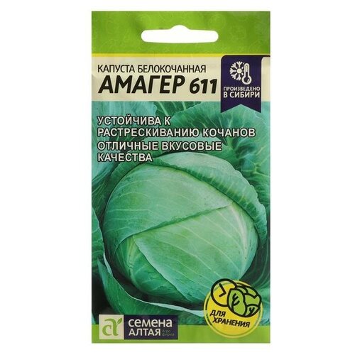 ���� ������ ������� ������������ 