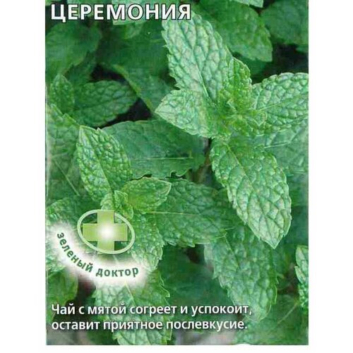 ���� ������ �������� ���� ��������� ����������, ������ �� 54 ���