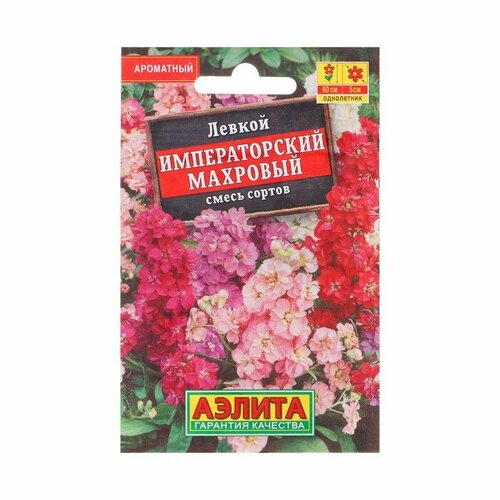 ���� ������ ������ ������ 