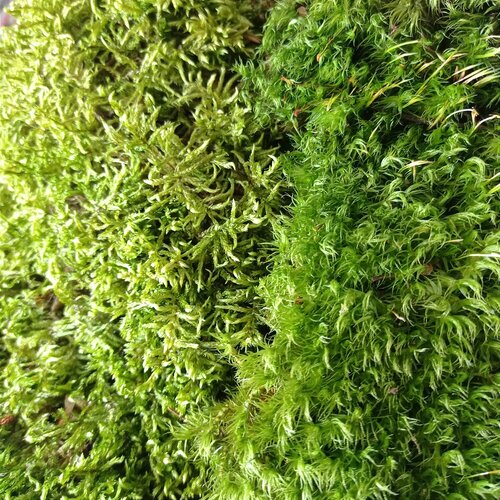 ���� 2 ���� ������� ��� 4,5�. ��������, �������. �����������. ������., ������ �� 1496 ���