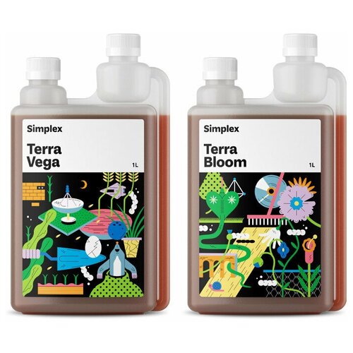 ���� �������� ��������� Simplex Terra Vega � Terra Bloom (�� 1 �), ������ �� 2700 ���