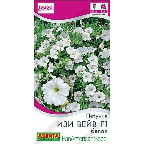 ���� ������� ��� ���� ����� F1 ( 1 �������� ) , ������, ������ �� 579 ���