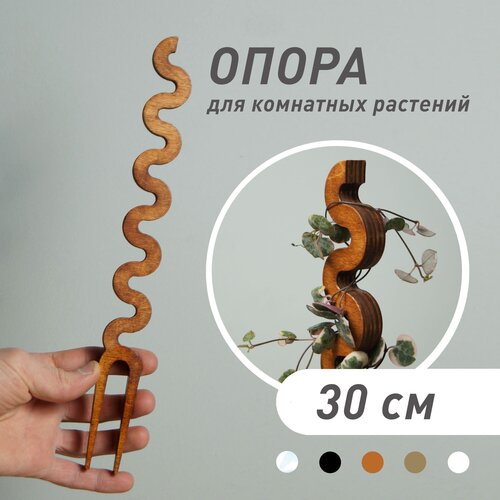 ���� ����� ��� �������� 