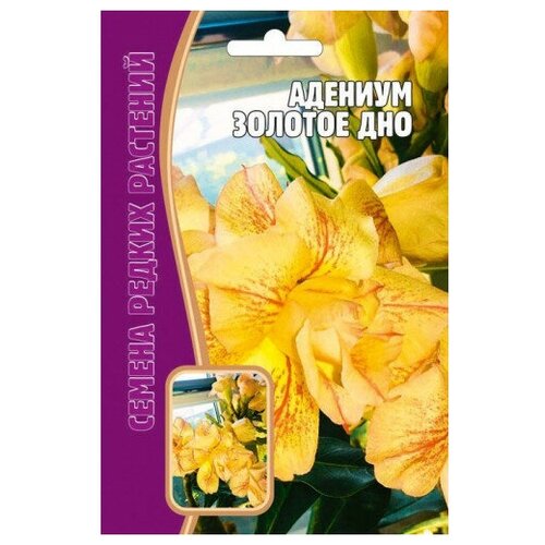 ���� ������ �������� 