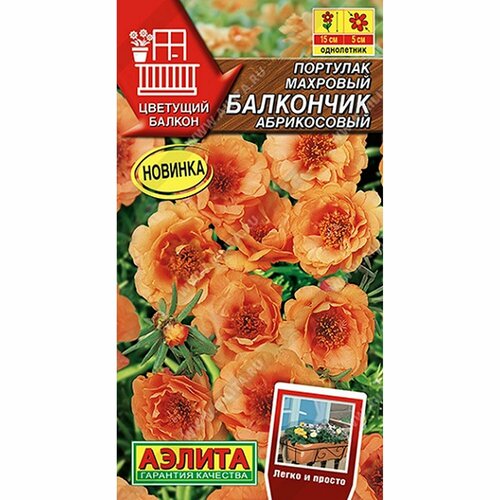 ���� ������ �������� ��������� �����������, ��������, ����������, (������) 0,05� �������� ������, ������ �� 44 ���