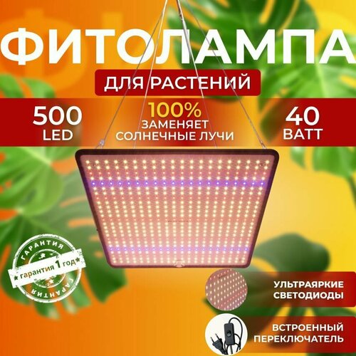           Quantum board    ,   500 LED,   3390 