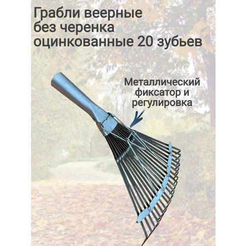 ���� ������ �������, ������ �� 539 ���