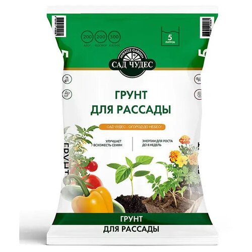 ���� ����� ��� ������� 5 � ��� �����, ������ �� 350 ���