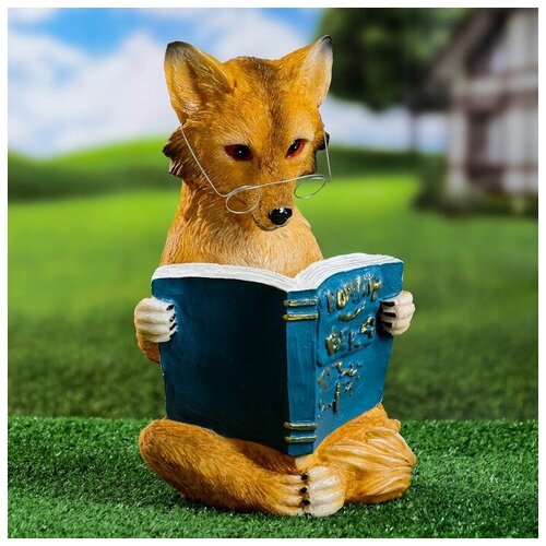 ���� ������� ������ 