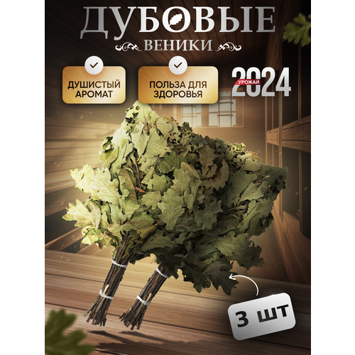 ���� ������� ����� ��� ����, ������ �� 1125 ���