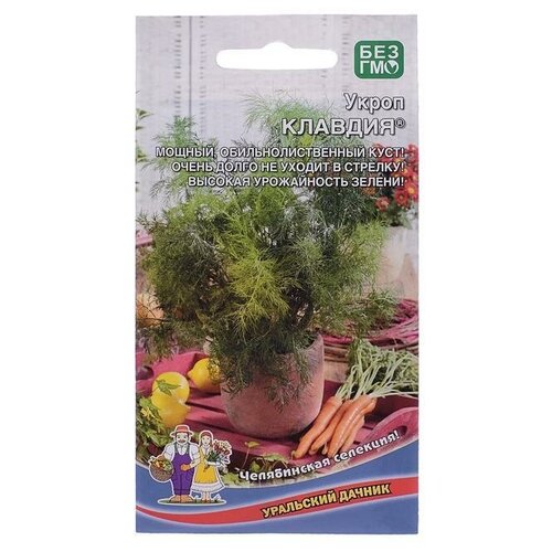 ���� ������ ����� 