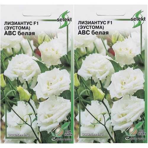 ���� ��������� F1 (�������) ��� �����, 2 �������� �� 5 �����, ������ �� 377 ���