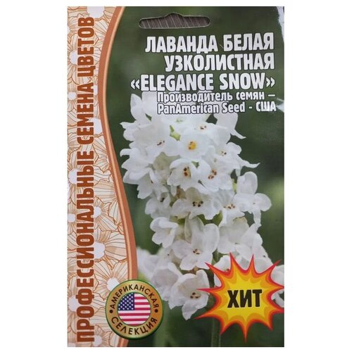 ���� ������ ������� ����� ����������� 