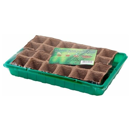 ���� ������� ��� ������� 24 ������ ����� � ����. ���������� 50*50, ������ �� 360 ���