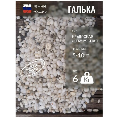 ���� ������ �������� ���������, ������� 5-10��, ������ �� 1350 ���